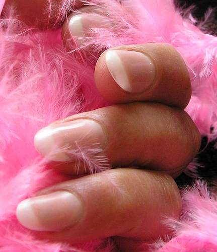 Custom Blend Pink Feathers